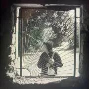 Красное Дерево